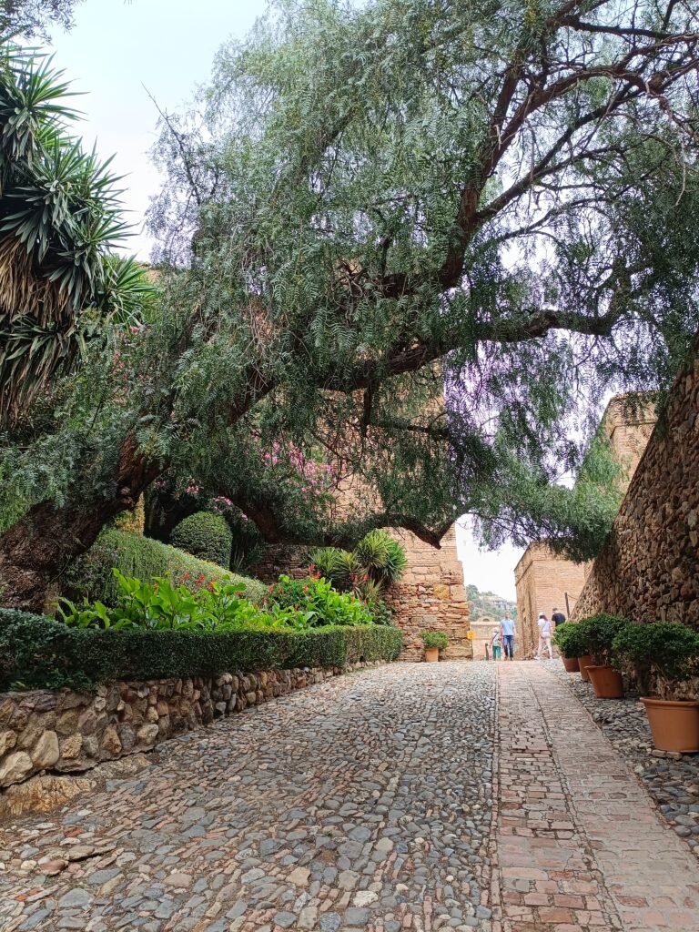 Alcazaba