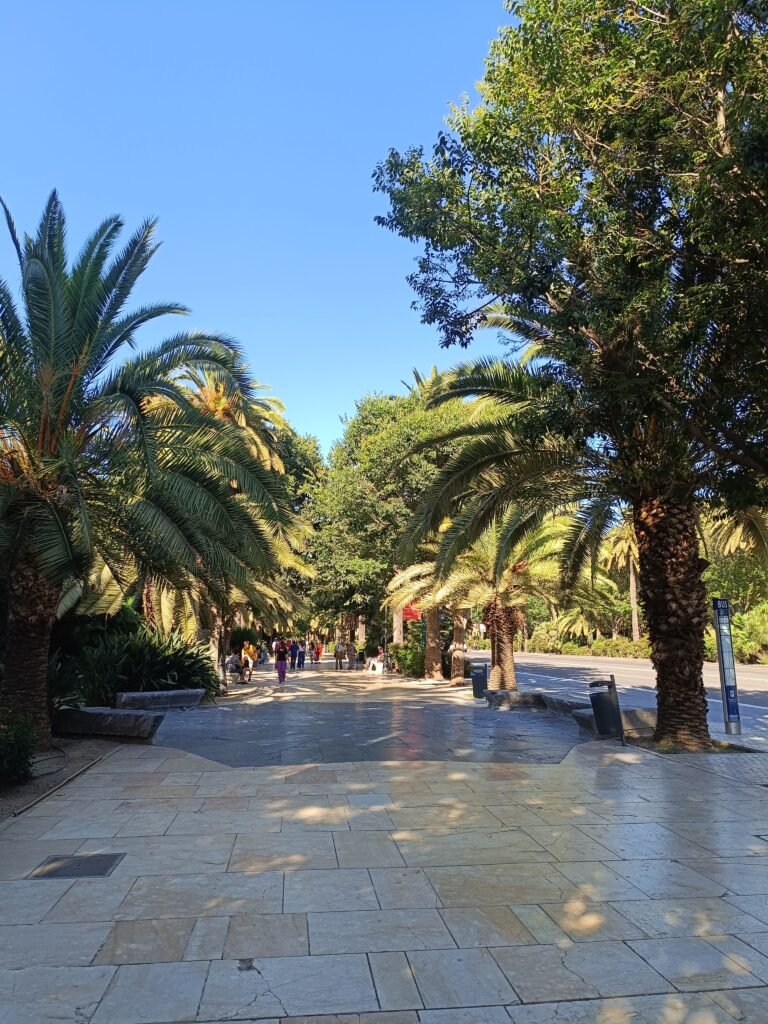la malagueta